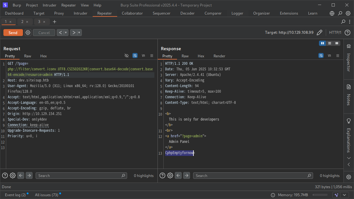 Explain Filter Chain Basic