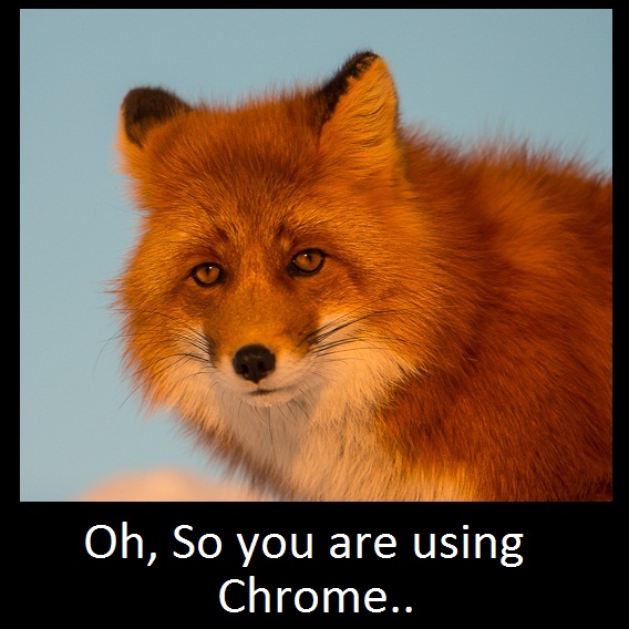 Sad Firefox